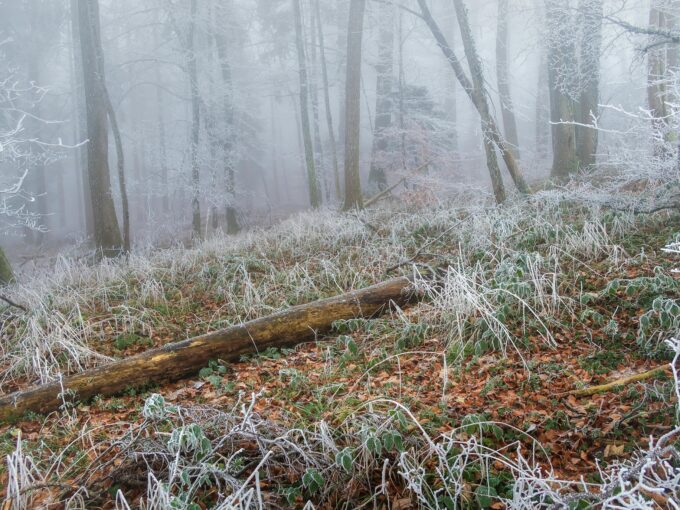 Česko – Mrznoucí mlhy zledovatí vozovky a teploty dosáhnou 11 °C 10