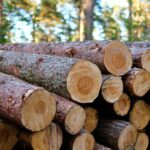 Praha – Recidivista podvodem vylákal 190 000 Kč a čelí obvinění 4