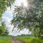 Česko – Nadprůměrné teplo a slunečno ovládne pátek 8