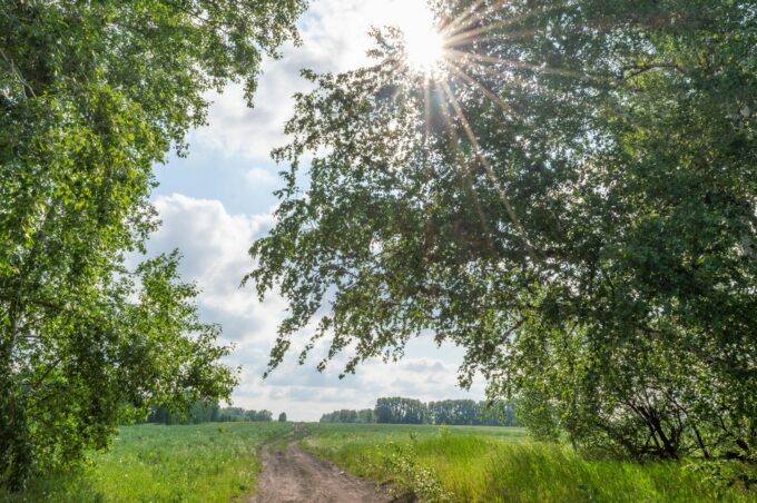 Česko – Nadprůměrné teplo a slunečno ovládne pátek 18