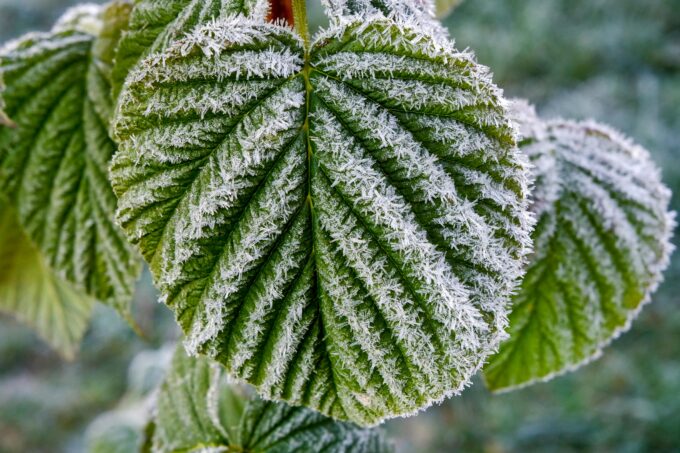 Evropa – Po neobvykle teplém týdnu hrozí návrat mrazů 2