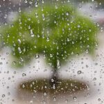 Česko – V neděli studená fronta odsune teplo a výrazně se ochladí 8